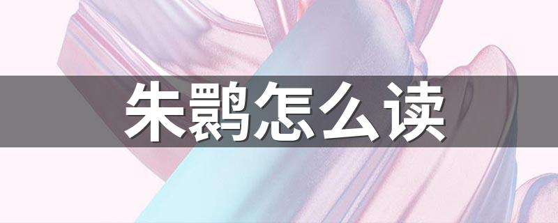 朱鹮读音_朱鹮怎么读