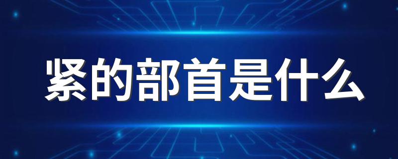 这个字是什么意思_紧的部首是什么