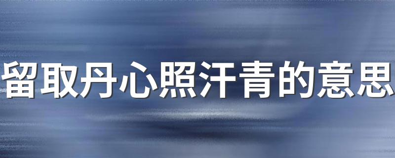 诗句留取丹心照汗青的解释_留取丹心照汗青的意思