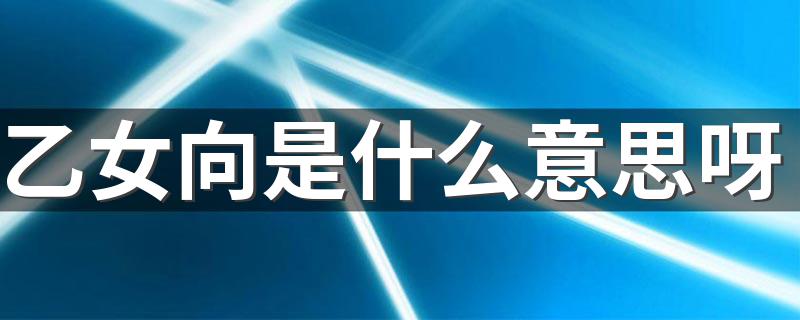 乙女向的意思_乙女向是什么意思呀