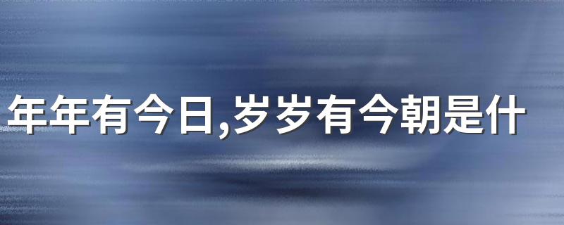 年年有今日,岁岁有今朝的含义_年年有今日,岁岁有今朝是什么意思
