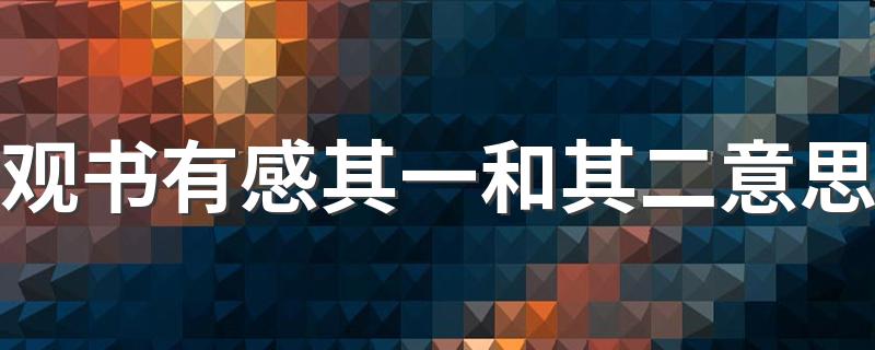 应该怎么解释_观书有感其一和其二意思