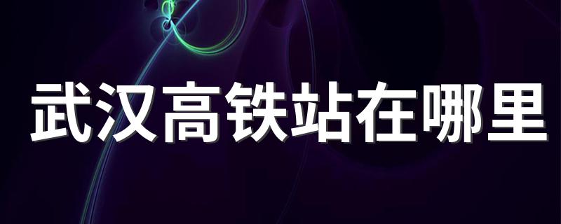 高铁站位置_武汉高铁站在哪里
