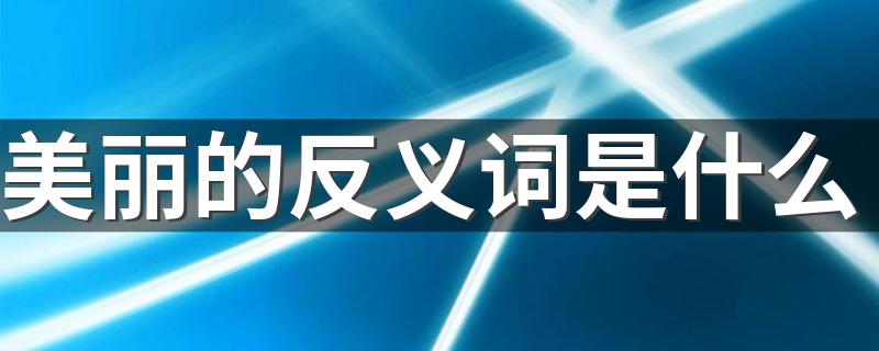 美丽的意思_美丽的反义词是什么