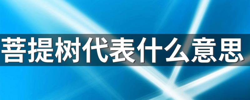 菩提树的寓意和象征含义_菩提树代表什么意思