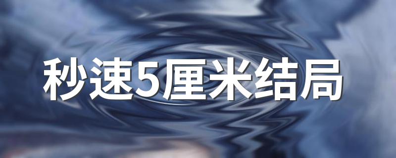 结局是什么_秒速5厘米结局