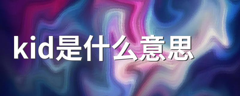 怎么理解kid的意思_kid是什么意思
