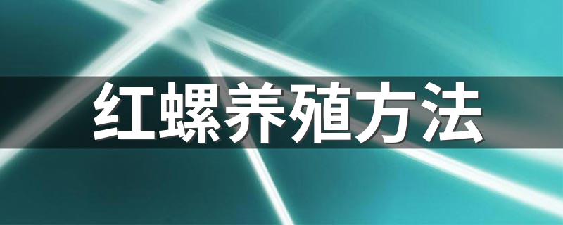 红螺怎么养_红螺养殖方法