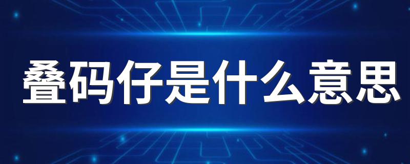 叠码仔的相关解释_叠码仔是什么意思
