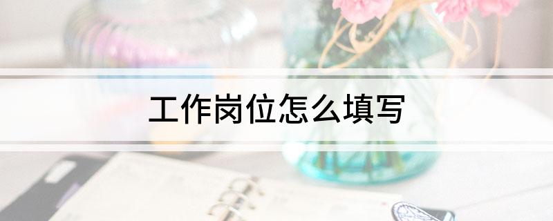 工作岗位怎么填写
