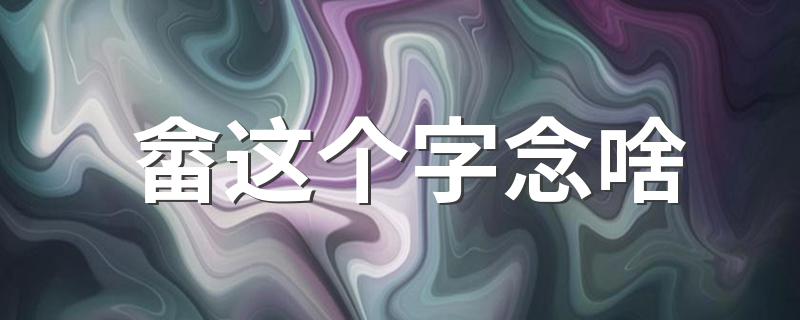畲字的读音是什么_畲这个字念啥
