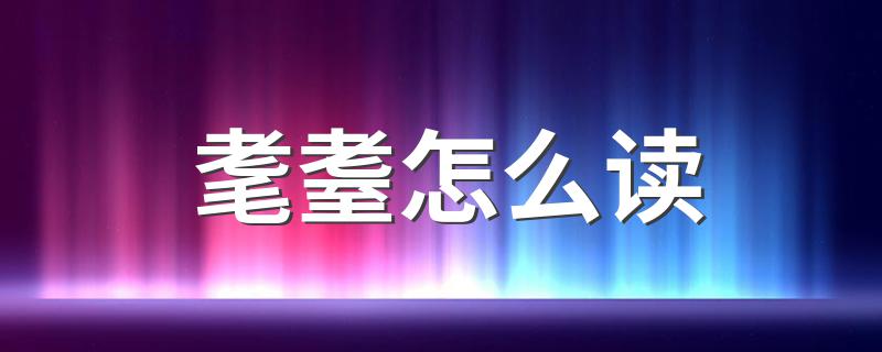 是什么意思_耄耋怎么读
