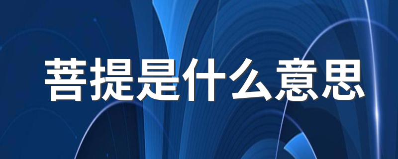 菩提解释_菩提是什么意思