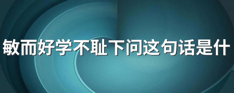 怎么理解敏而好学不耻下问的意思_敏而好学不耻下问这句话是什么意思