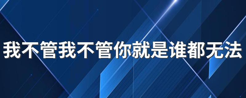 完整歌词介绍_我不管我不管你就是谁都无法替代是什么歌