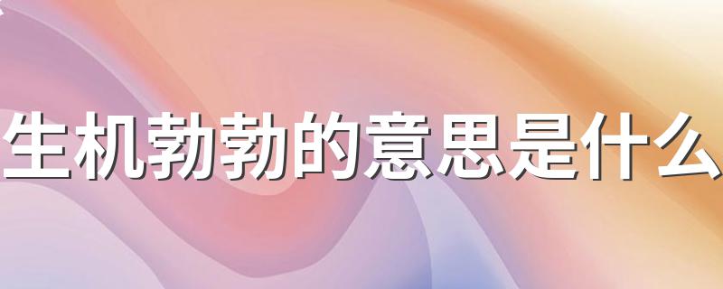 怎么理解生机勃勃的意思_生机勃勃的意思是什么