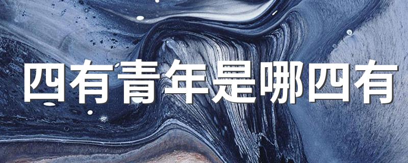 四有青年详细介绍_四有青年是哪四有