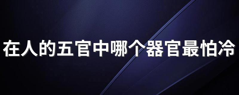 最怕冷的五官是什么_在人的五官中哪个器官最怕冷