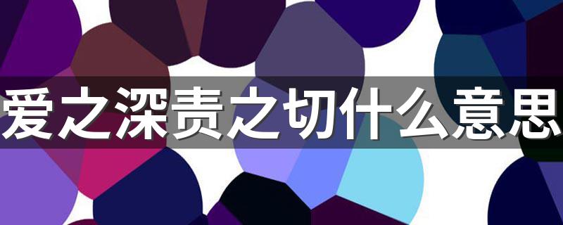 有关爱之深责之切的含义_爱之深责之切什么意思