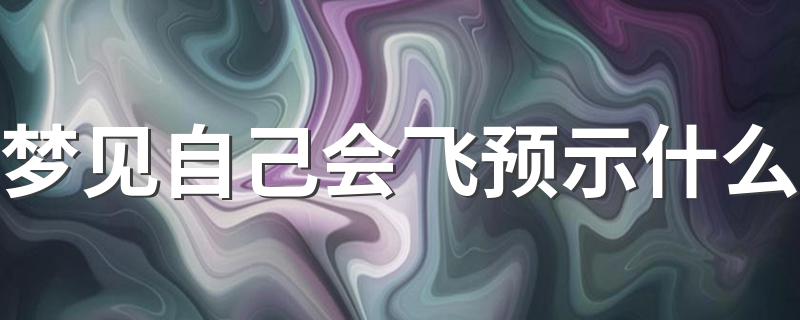 梦见自己会飞的解释_梦见自己会飞预示什么
