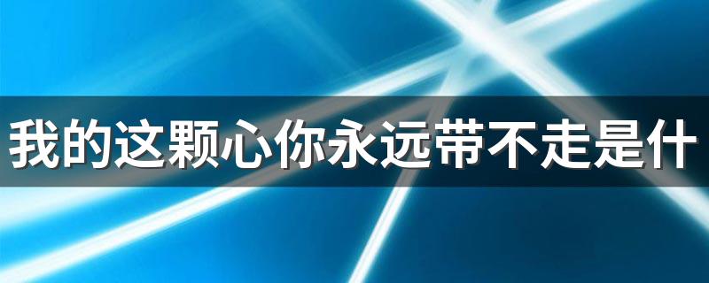 歌词我的这颗心你永远带不走是什么歌_我的这颗心你永远带不走是什么歌