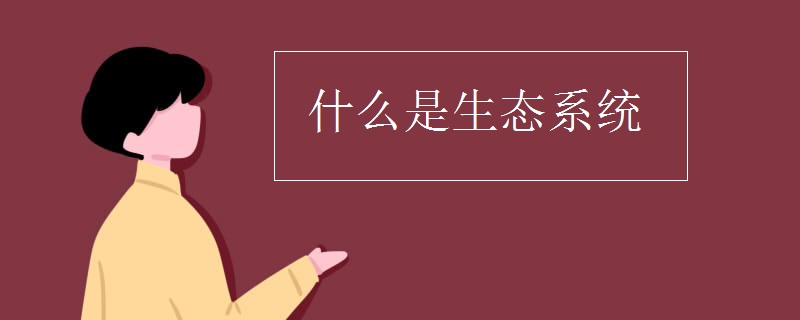 什么是生态系统
