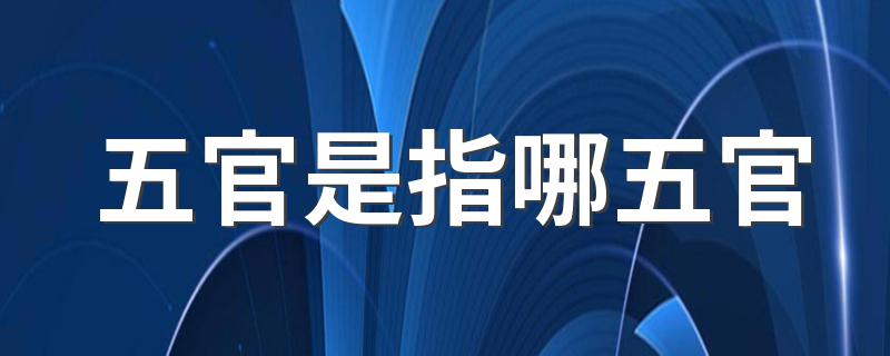 五官是什么意思_五官是指哪五官