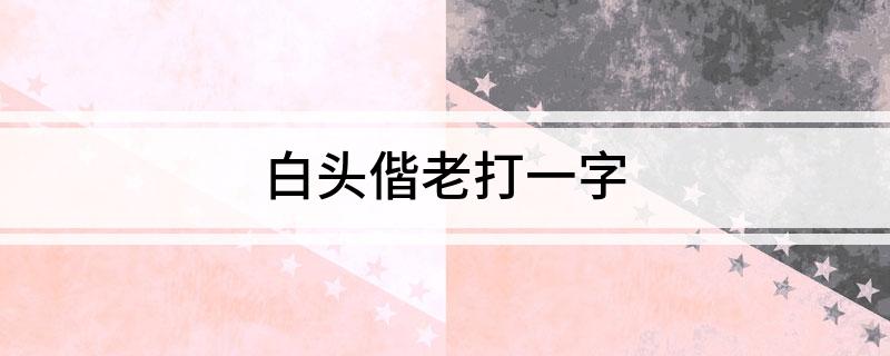 白头偕老打一字