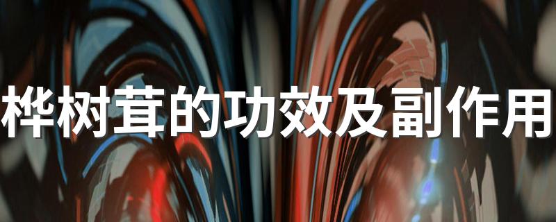 桦树茸简介_桦树茸的功效及副作用