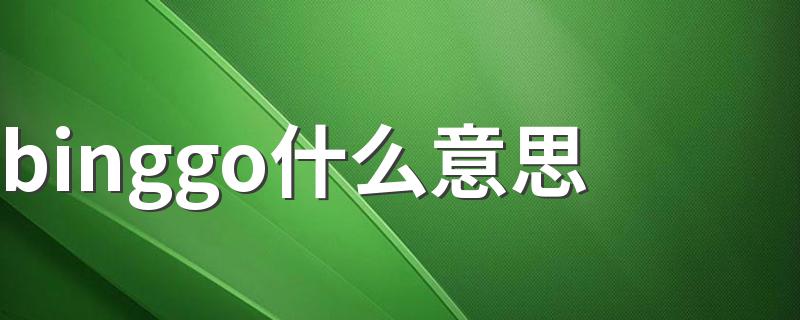 binggo解释_binggo什么意思