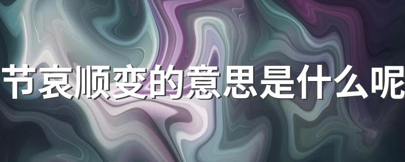 节哀顺变的解释_节哀顺变的意思是什么呢