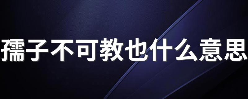 孺子不可教也含义_孺子不可教也什么意思