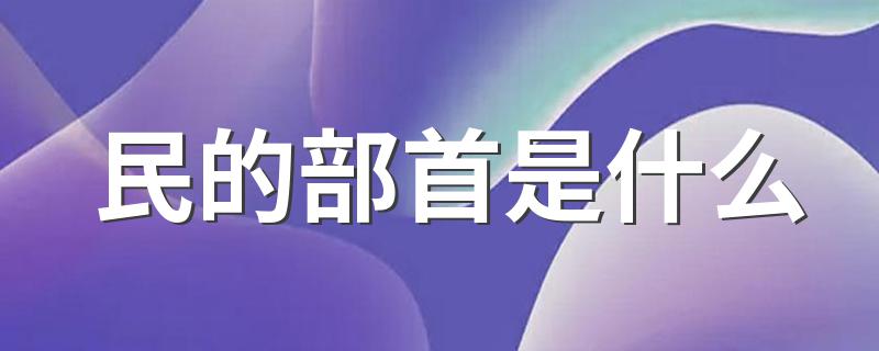 汉字民的部首是什么_民的部首是什么
