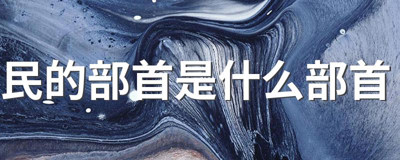 什么是民的部首_民的部首是什么部首
