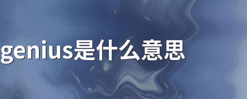 genius中文是什么意思_genius是什么意思