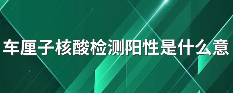 车厘子核酸检测阳性介绍_车厘子核酸检测阳性是什么意思