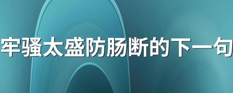 牢骚太盛防肠断的出处_牢骚太盛防肠断的下一句