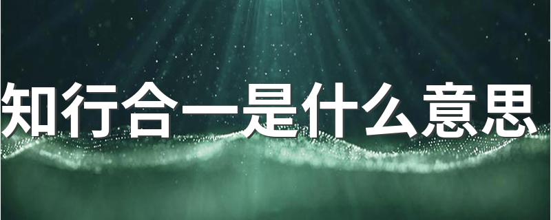 知行合一意思介绍_知行合一是什么意思
