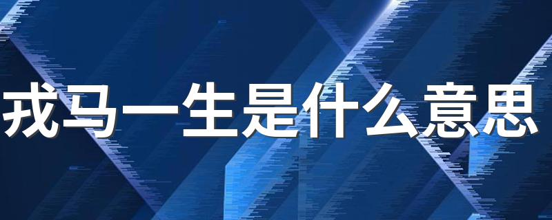 什么是戎马一生_戎马一生是什么意思