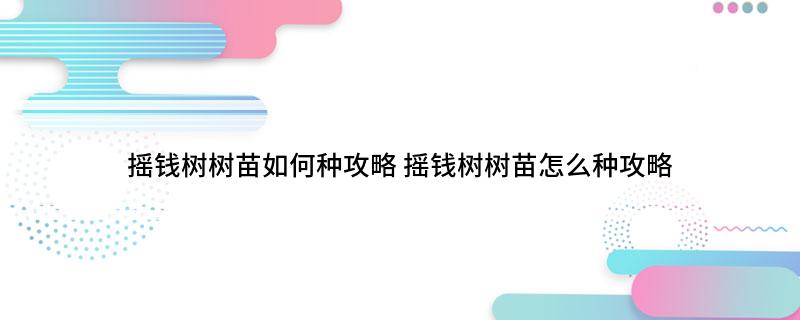 摇钱树树苗如何种攻略(摇钱树树苗怎么种攻略)