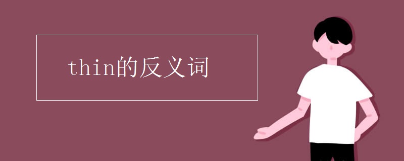 thin的反义词