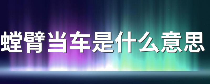 螳臂当车解释及出处_螳臂当车是什么意思
