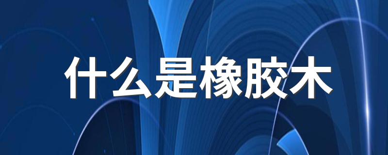 橡胶木简介_什么是橡胶木