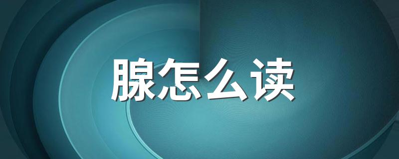 腺的读音_腺怎么读