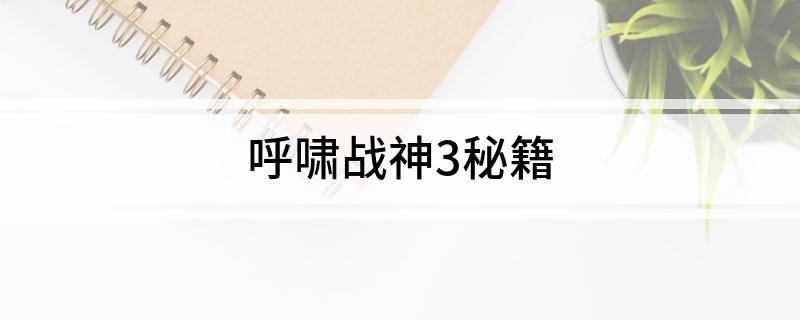 呼啸战神3秘籍