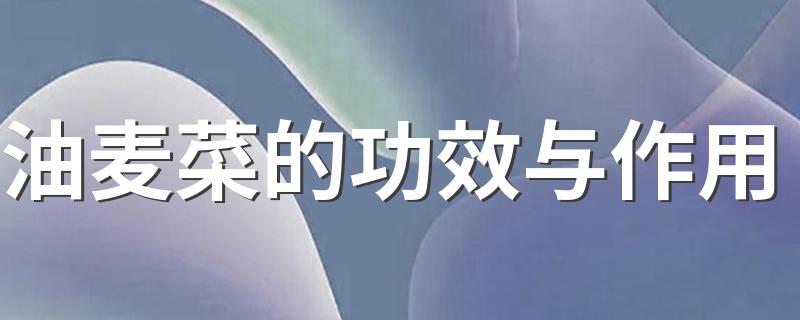 吃油麦菜的好处是什么_油麦菜的功效与作用
