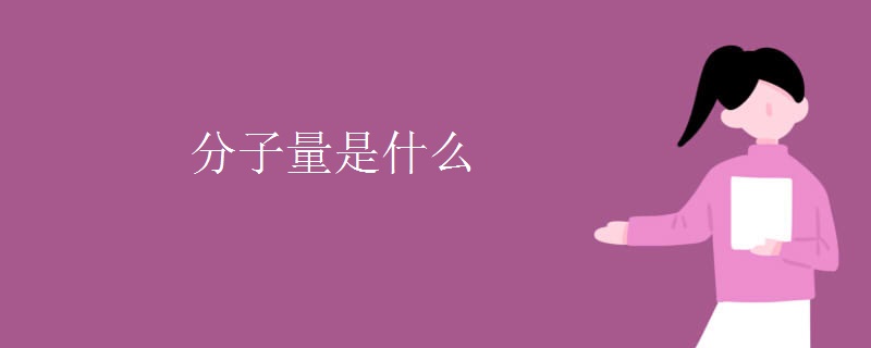分子量是什么