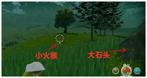 宝可梦传说阿尔宙斯小火猴捕捉地点(小火猴在哪抓)