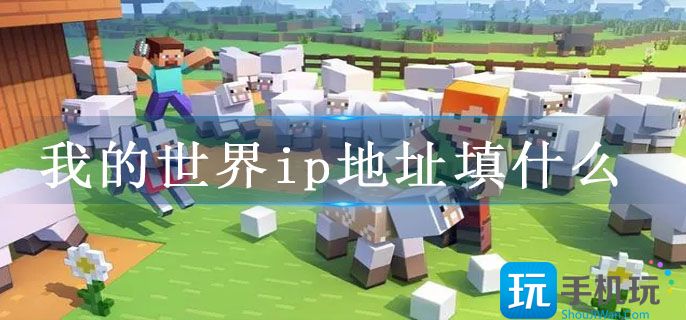 我的世界ip地址填什么(服务器ip地址输入方法)