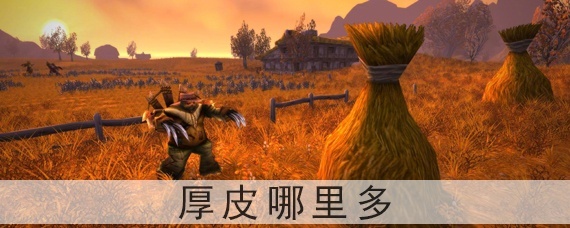 魔兽世界怀旧服厚皮哪里多(魔兽世界怀旧服厚皮去哪刷)